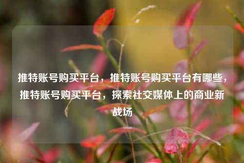 推特账号购买平台，推特账号购买平台有哪些，推特账号购买平台，探索社交媒体上的商业新战场
