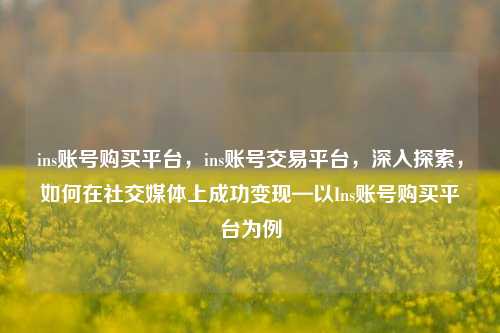 ins账号购买平台，ins账号交易平台，深入探索，如何在社交媒体上成功变现—以Ins账号购买平台为例