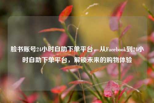 脸书账号24小时自助下单平台，从Facebook到24小时自助下单平台，解锁未来的购物体验