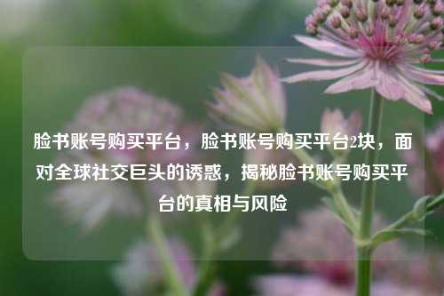 脸书账号购买平台，脸书账号购买平台2块，面对全球社交巨头的诱惑，揭秘脸书账号购买平台的真相与风险