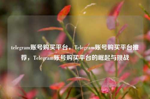 telegram账号购买平台，Telegram账号购买平台推荐，Telegram账号购买平台的崛起与挑战