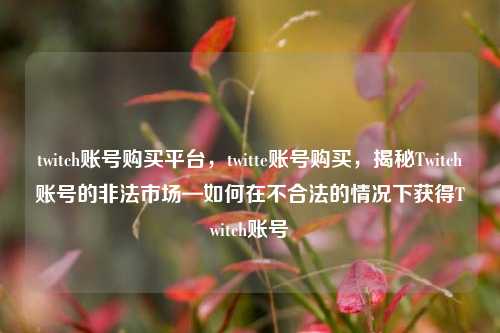twitch账号购买平台，twitte账号购买，揭秘Twitch账号的非法市场—如何在不合法的情况下获得Twitch账号