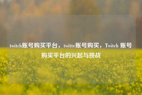 twitch账号购买平台，twitte账号购买，Twitch 账号购买平台的兴起与挑战