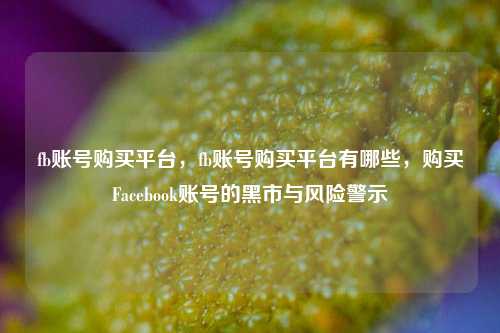 fb账号购买平台，fb账号购买平台有哪些，购买Facebook账号的黑市与风险警示