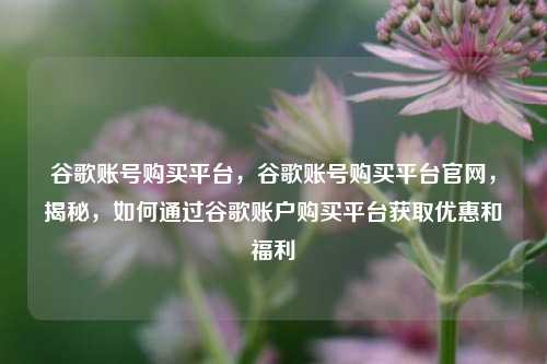 谷歌账号购买平台，谷歌账号购买平台官网，揭秘，如何通过谷歌账户购买平台获取优惠和福利