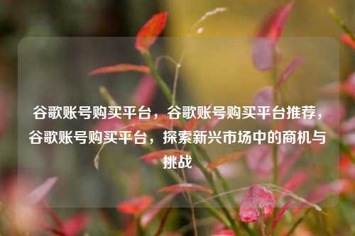 谷歌账号购买平台，谷歌账号购买平台推荐，谷歌账号购买平台，探索新兴市场中的商机与挑战