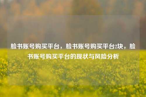 脸书账号购买平台，脸书账号购买平台2块，脸书账号购买平台的现状与风险分析