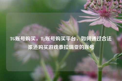 TG账号购买，Tg账号购买平台，如何通过合法渠道购买游戏泰拉瑞亚的账号