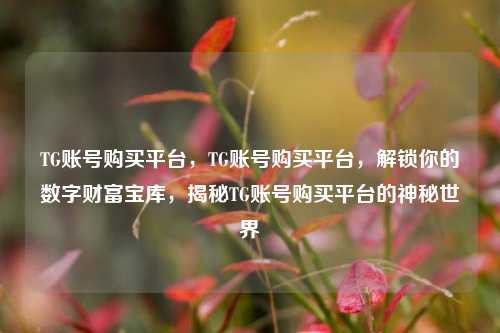 TG账号购买平台，TG账号购买平台，解锁你的数字财富宝库，揭秘TG账号购买平台的神秘世界