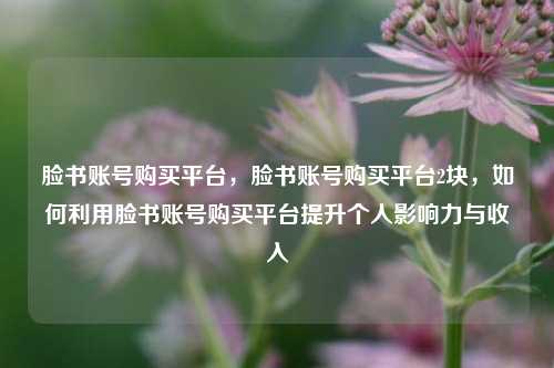 脸书账号购买平台，脸书账号购买平台2块，如何利用脸书账号购买平台提升个人影响力与收入