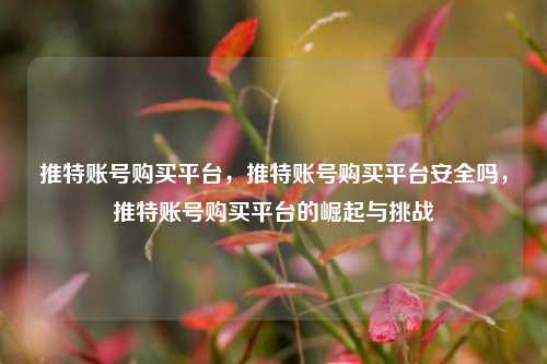 推特账号购买平台，推特账号购买平台安全吗，推特账号购买平台的崛起与挑战