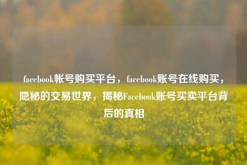 facebook帐号购买平台，facebook账号在线购买，隐秘的交易世界，揭秘Facebook账号买卖平台背后的真相
