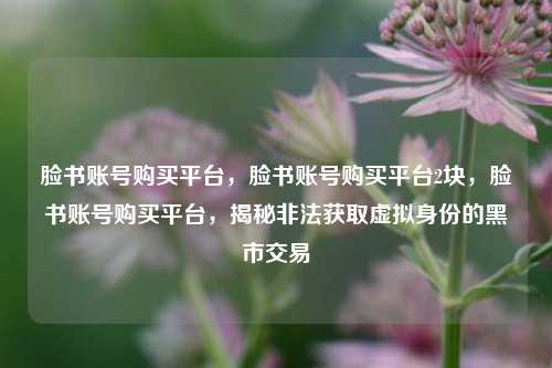 脸书账号购买平台，脸书账号购买平台2块，脸书账号购买平台，揭秘非法获取虚拟身份的黑市交易