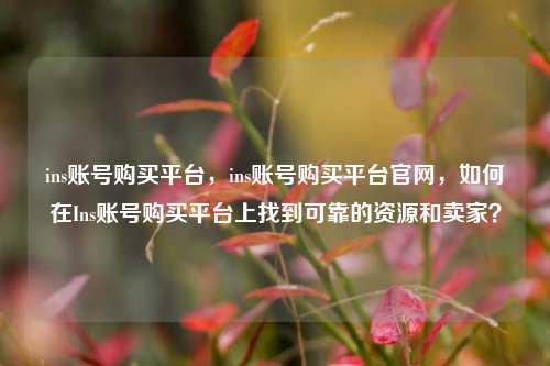 ins账号购买平台，ins账号购买平台官网，如何在Ins账号购买平台上找到可靠的资源和卖家？