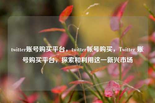 twitter账号购买平台，twitter帐号购买，Twitter 账号购买平台，探索和利用这一新兴市场