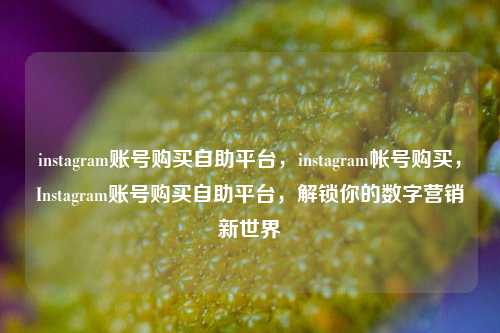 instagram账号购买自助平台，instagram帐号购买，Instagram账号购买自助平台，解锁你的数字营销新世界