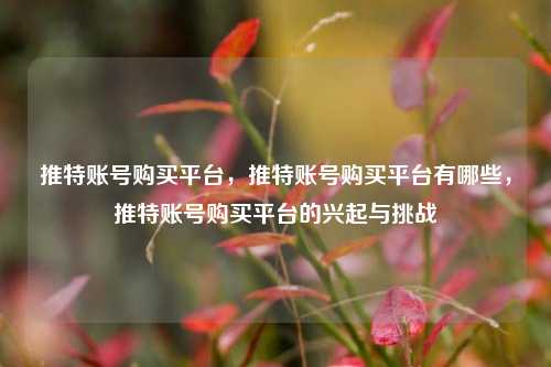 推特账号购买平台，推特账号购买平台有哪些	，推特账号购买平台的兴起与挑战  第1张