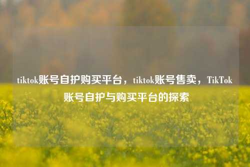 tiktok账号自护购买平台，tiktok账号售卖，TikTok 账号自护与购买平台的探索