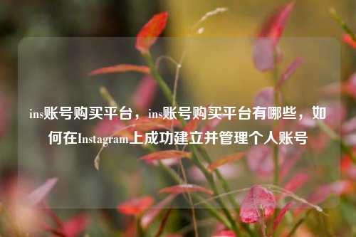 ins账号购买平台，ins账号购买平台有哪些，如何在Instagram上成功建立并管理个人账号