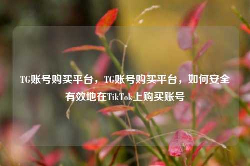 TG账号购买平台，TG账号购买平台	，如何安全有效地在TikTok上购买账号  第1张