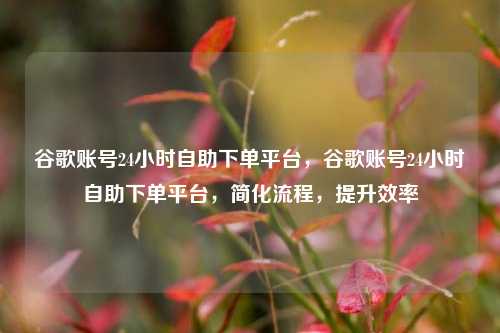 谷歌账号24小时自助下单平台，谷歌账号24小时自助下单平台，简化流程，提升效率