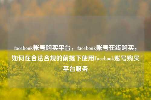 facebook帐号购买平台，facebook账号在线购买，如何在合法合规的前提下使用Facebook账号购买平台服务