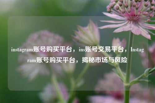 instagram账号购买平台	，ins账号交易平台，Instagram账号购买平台，揭秘市场与风险  第1张