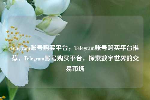 telegram账号购买平台，Telegram账号购买平台推荐，Telegram账号购买平台，探索数字世界的交易市场
