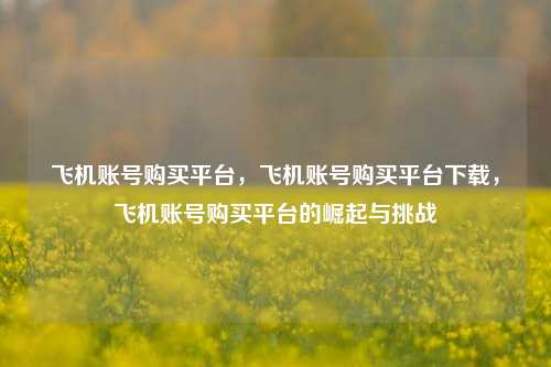 飞机账号购买平台，飞机账号购买平台下载，飞机账号购买平台的崛起与挑战