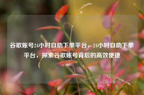 谷歌账号24小时自助下单平台，24小时自助下单平台，探索谷歌账号背后的高效便捷