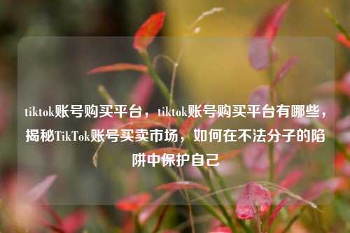 tiktok账号购买平台，tiktok账号购买平台有哪些，揭秘TikTok账号买卖市场，如何在不法分子的陷阱中保护自己