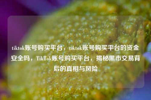 tiktok账号购买平台，tiktok账号购买平台的资金安全吗，TikTok账号购买平台，揭秘黑市交易背后的真相与风险