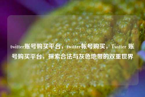 twitter账号购买平台，twitter帐号购买，Twitter 账号购买平台，探索合法与灰色地带的双重世界