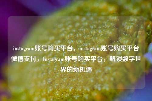 instagram账号购买平台，instagram账号购买平台微信支付，Instagram账号购买平台，解锁数字世界的新机遇