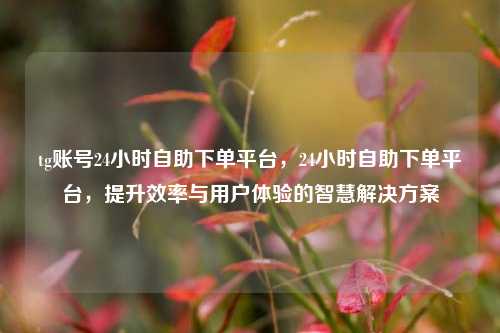 tg账号24小时自助下单平台，24小时自助下单平台，提升效率与用户体验的智慧解决方案