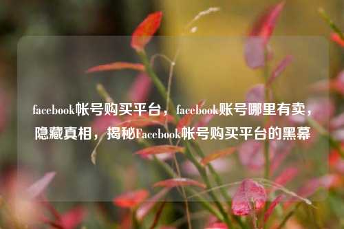 facebook帐号购买平台，facebook账号哪里有卖，隐藏真相，揭秘Facebook帐号购买平台的黑幕