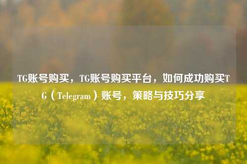 TG账号购买，TG账号购买平台，如何成功购买TG（Telegram）账号，策略与技巧分享