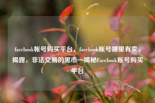 facebook帐号购买平台，facebook账号哪里有卖，揭露，非法交易的黑市—揭秘Facebook账号购买平台