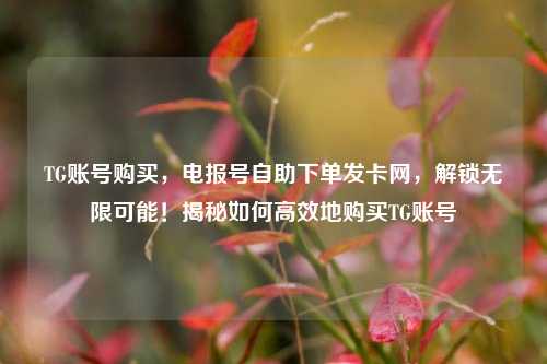 TG账号购买，电报号自助下单发卡网，解锁无限可能！揭秘如何高效地购买TG账号