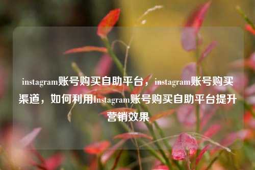 instagram账号购买自助平台，instagram账号购买渠道，如何利用Instagram账号购买自助平台提升营销效果