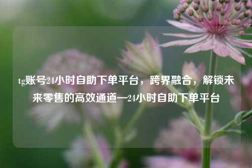 tg账号24小时自助下单平台，跨界融合，解锁未来零售的高效通道—24小时自助下单平台