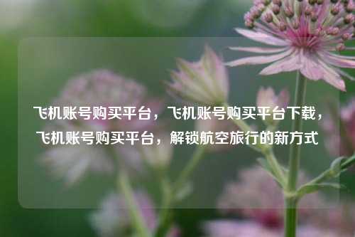 飞机账号购买平台，飞机账号购买平台下载，飞机账号购买平台，解锁航空旅行的新方式