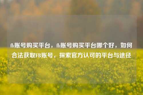 fb账号购买平台，fb账号购买平台哪个好，如何合法获取FB账号，探索官方认可的平台与途径