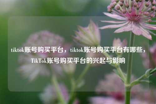 tiktok账号购买平台，tiktok账号购买平台有哪些，TikTok账号购买平台的兴起与影响