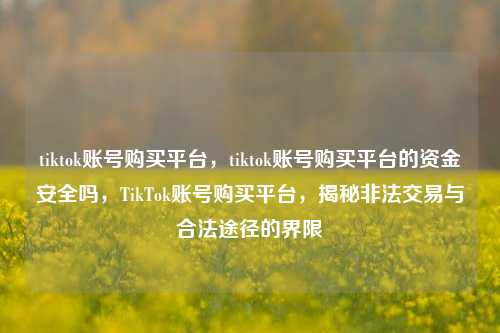 tiktok账号购买平台，tiktok账号购买平台的资金安全吗，TikTok账号购买平台，揭秘非法交易与合法途径的界限