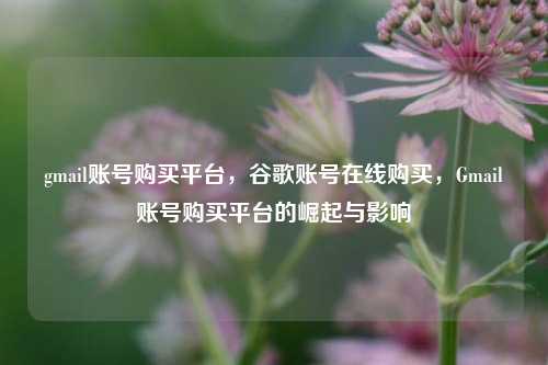 gmail账号购买平台，谷歌账号在线购买，Gmail账号购买平台的崛起与影响