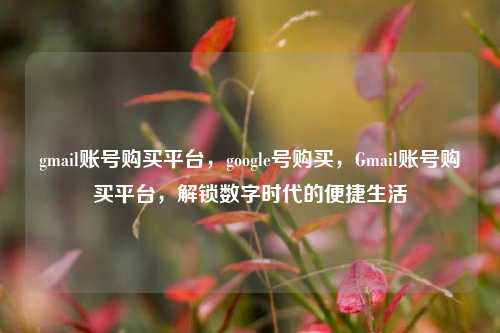 gmail账号购买平台，google号购买，Gmail账号购买平台，解锁数字时代的便捷生活