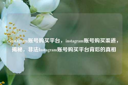 instagram账号购买平台，instagram账号购买渠道，揭秘，非法Instagram账号购买平台背后的真相