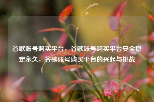 谷歌账号购买平台，谷歌账号购买平台安全稳定永久	，谷歌账号购买平台的兴起与挑战  第1张