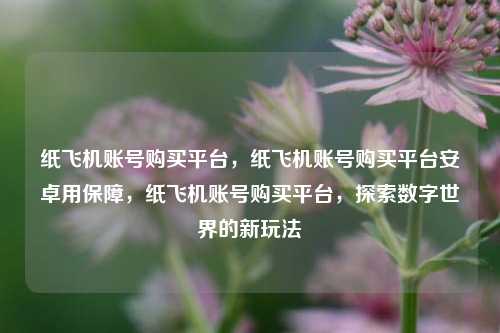 纸飞机账号购买平台，纸飞机账号购买平台安卓用保障，纸飞机账号购买平台，探索数字世界的新玩法